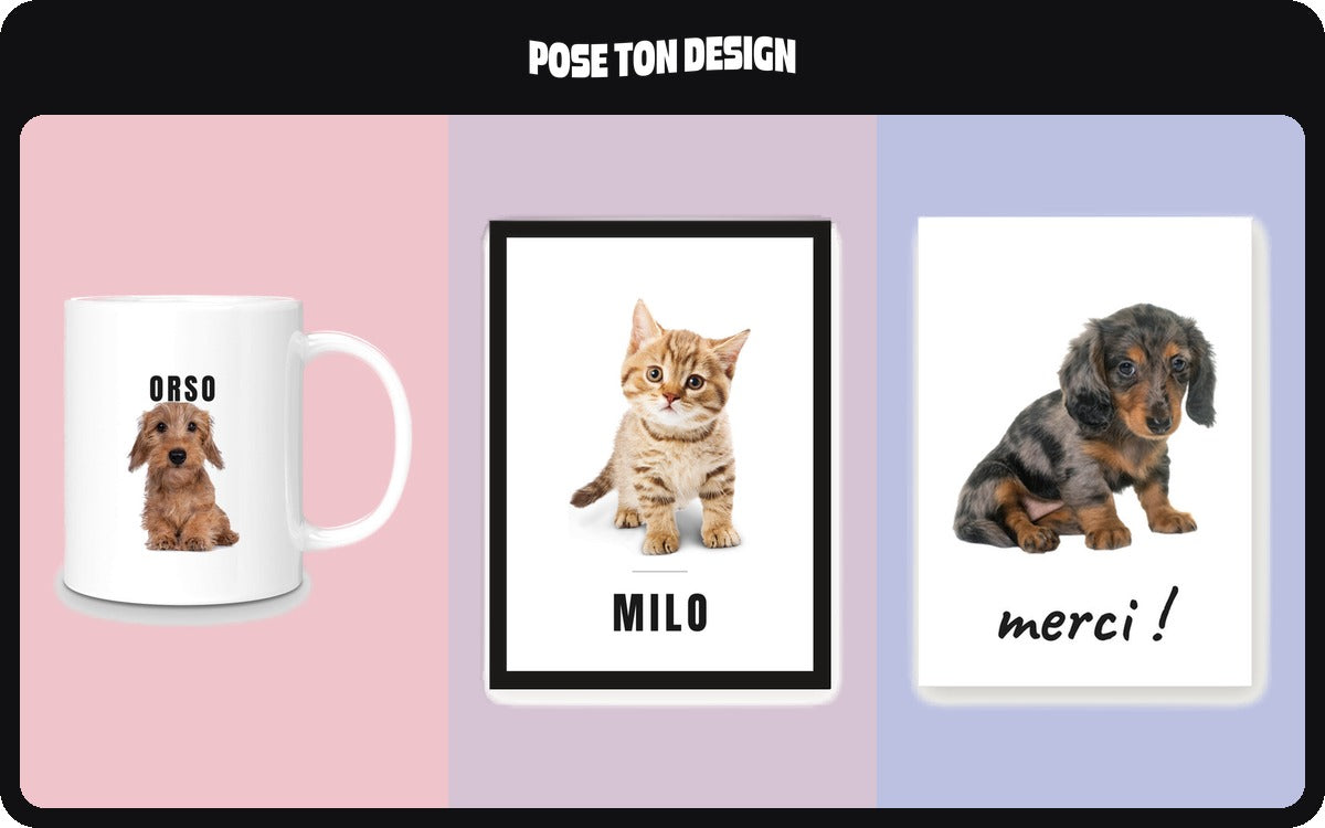 Un mug imprimé avec la photo d’un teckel, un cadre avec un chaton et une carte avec un chiot.