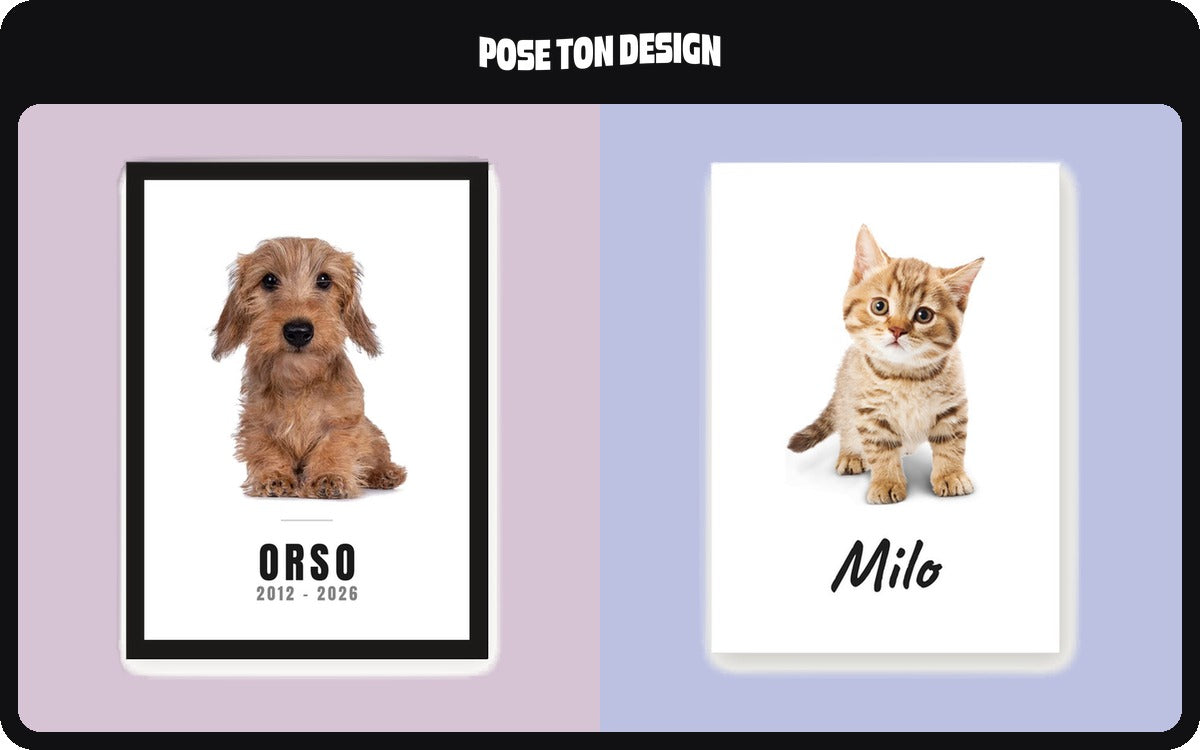 Un cadre photo en bois noir avec la photo d’un chien, son prénom et deux dates, et une carte avec la photo d’un chat et son prénom.