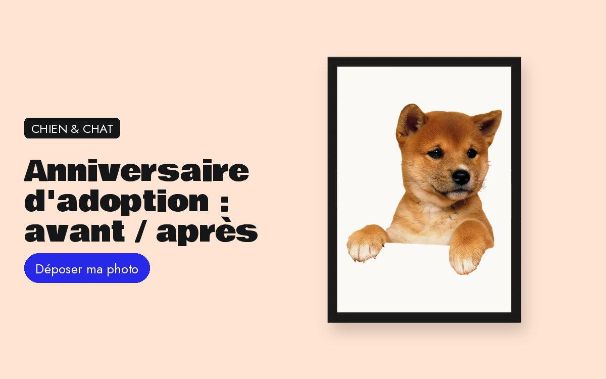 Cadre photo personnalisé avec photo – Cadeau d'anniversaire d'adoption : la photo avant / après