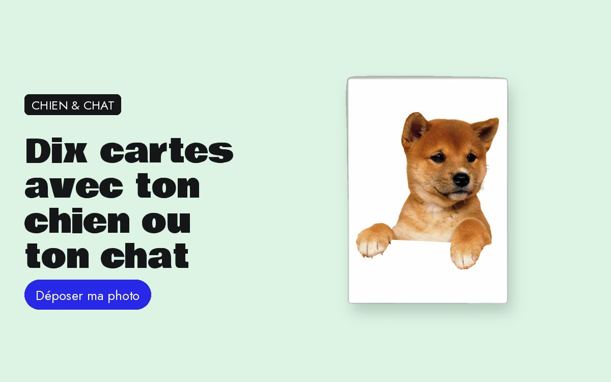Cartes postales personnalisées avec photo – Dix cartes avec la photo de ton chien ou de ton chat