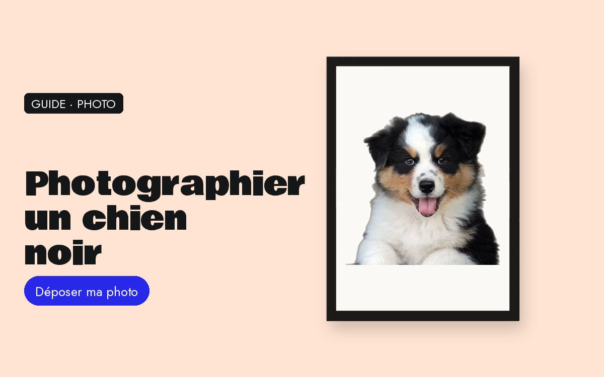 Cadre photo personnalisé avec photo – Ton chien noir ressort comme une tache ? Ce n’est pas ton téléphone