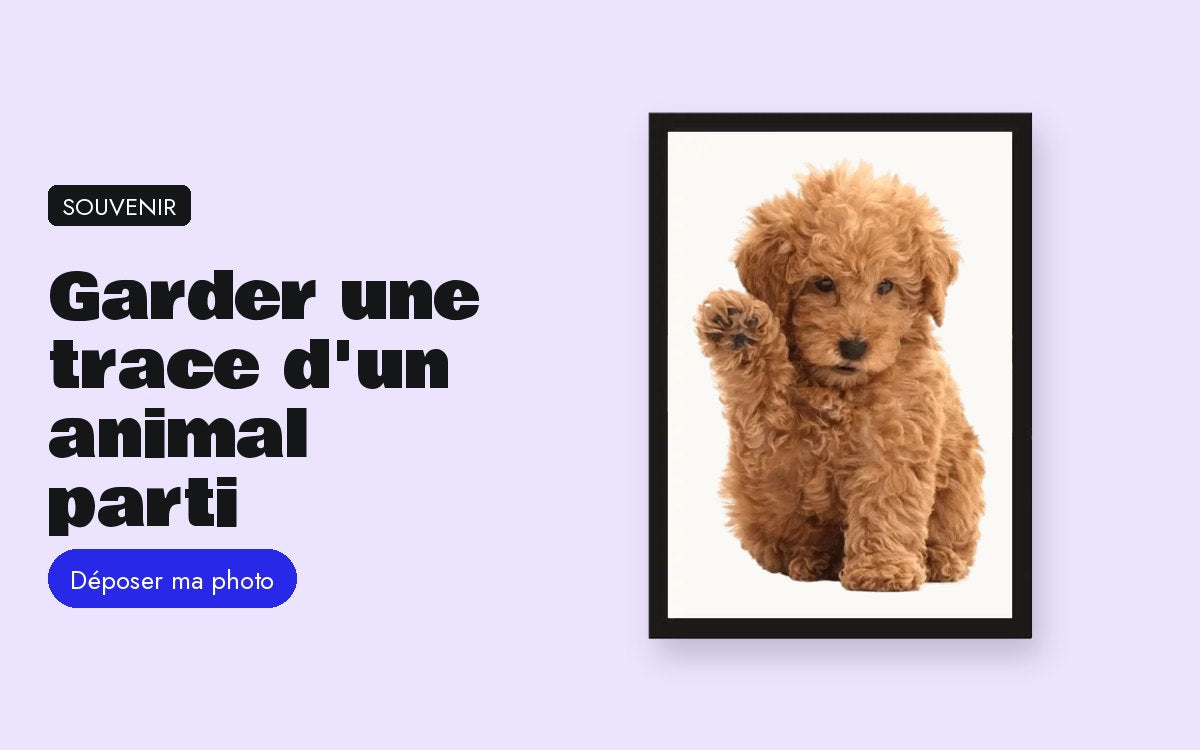 Cadre photo personnalisé avec photo – Garder une trace d’un animal qui n’est plus là